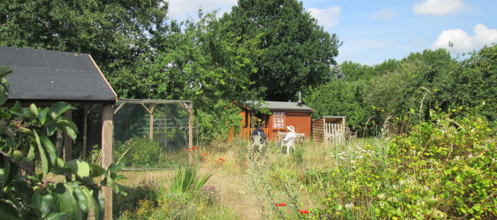 Photo of the Strong Roots allotment site
